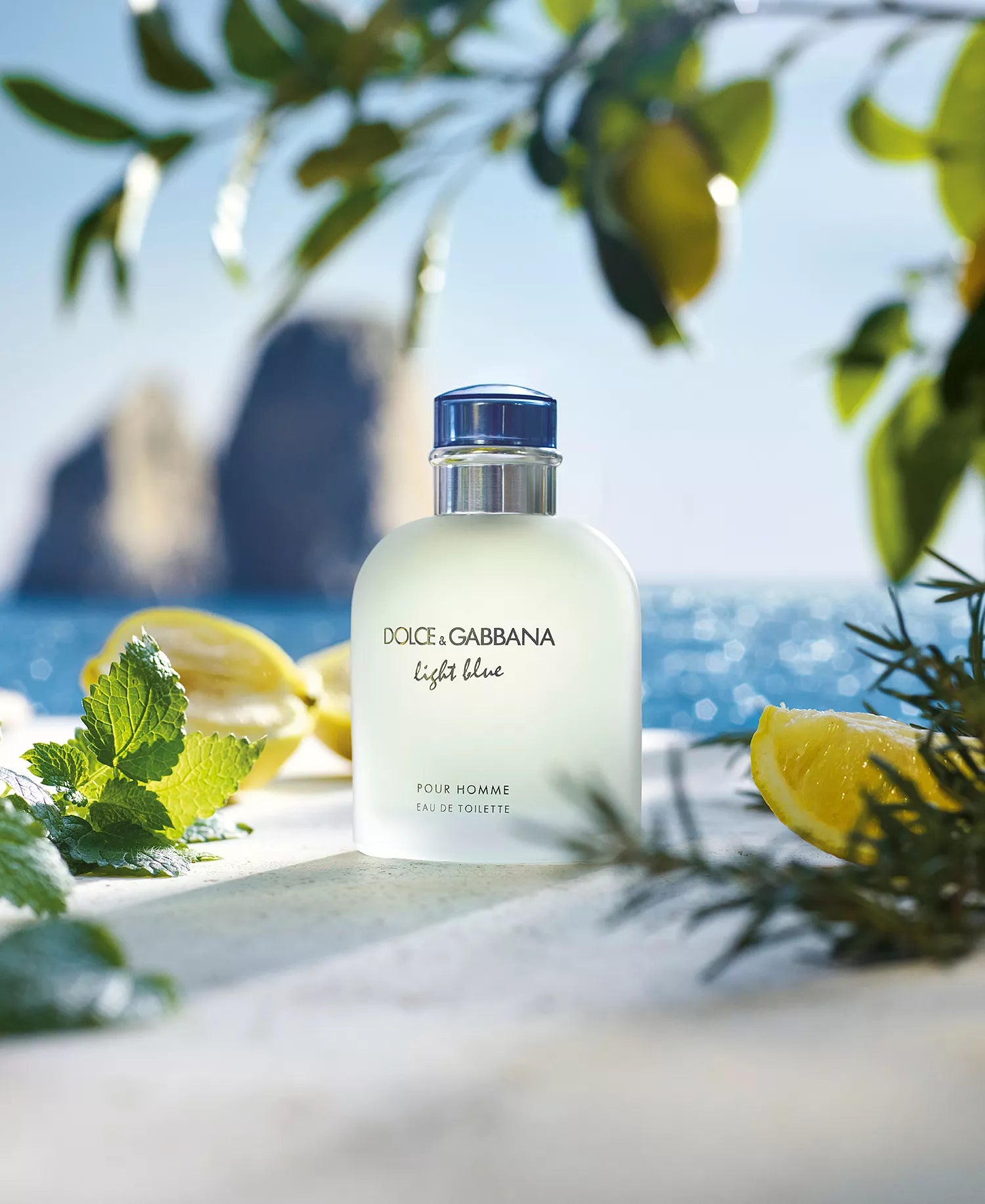 Dolce&Gabbana Light Blue Pour Homme Eau de Toilette 125ml