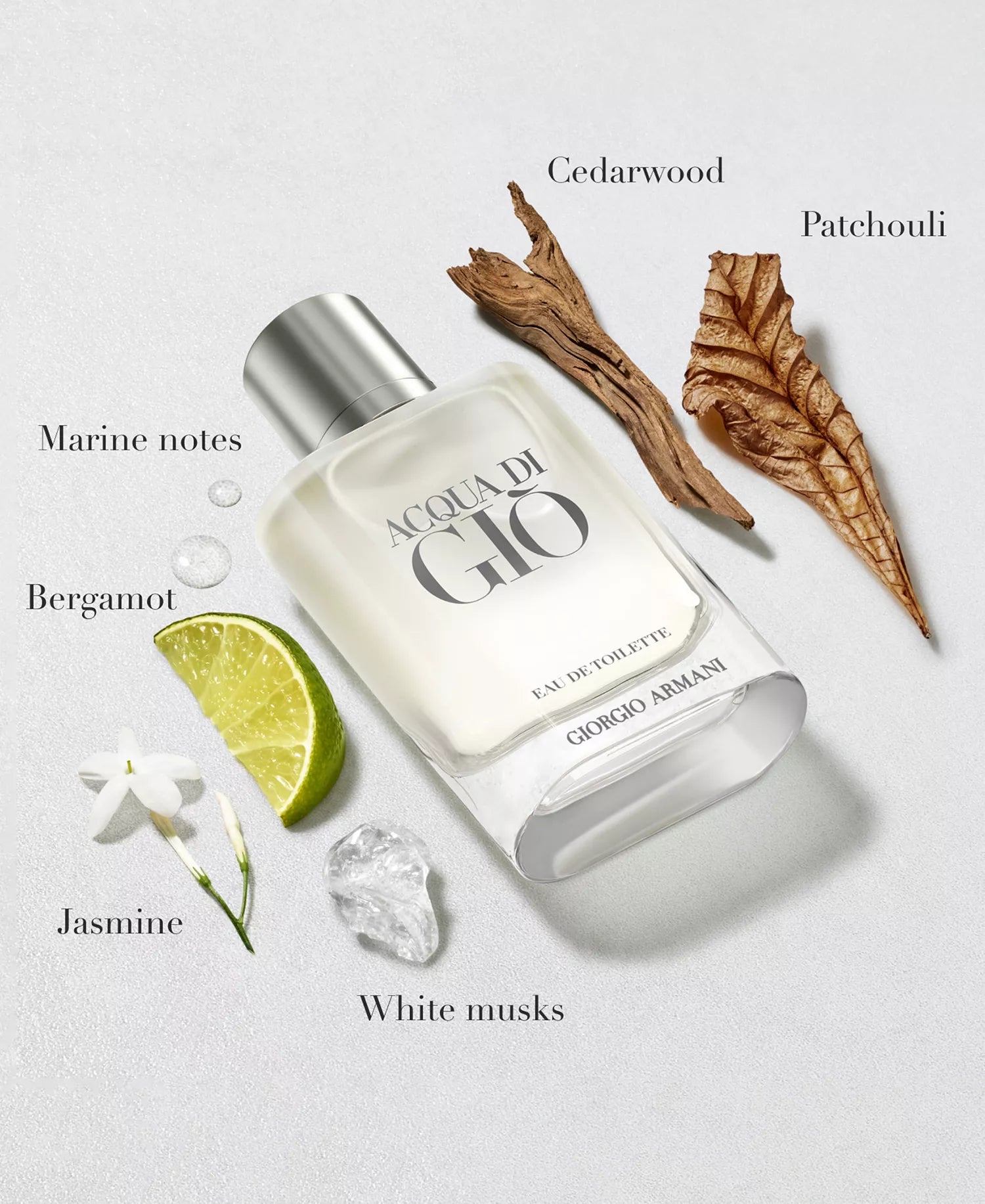 Armani Giorgio Men's Acqua di Giò Eau de Toilette Spray 100ml