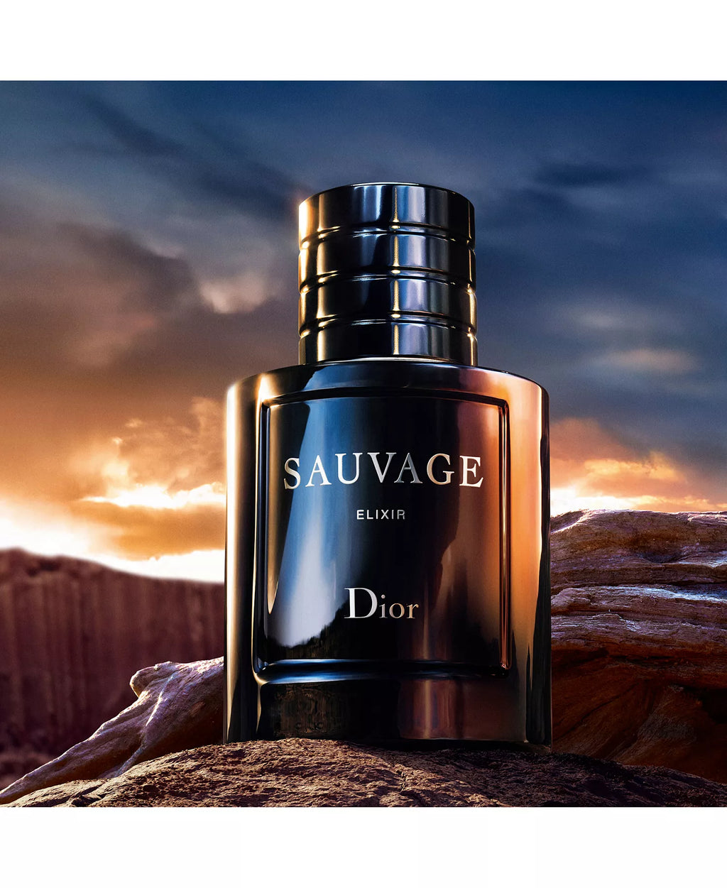 Dior Sauvage Elixir 100ml