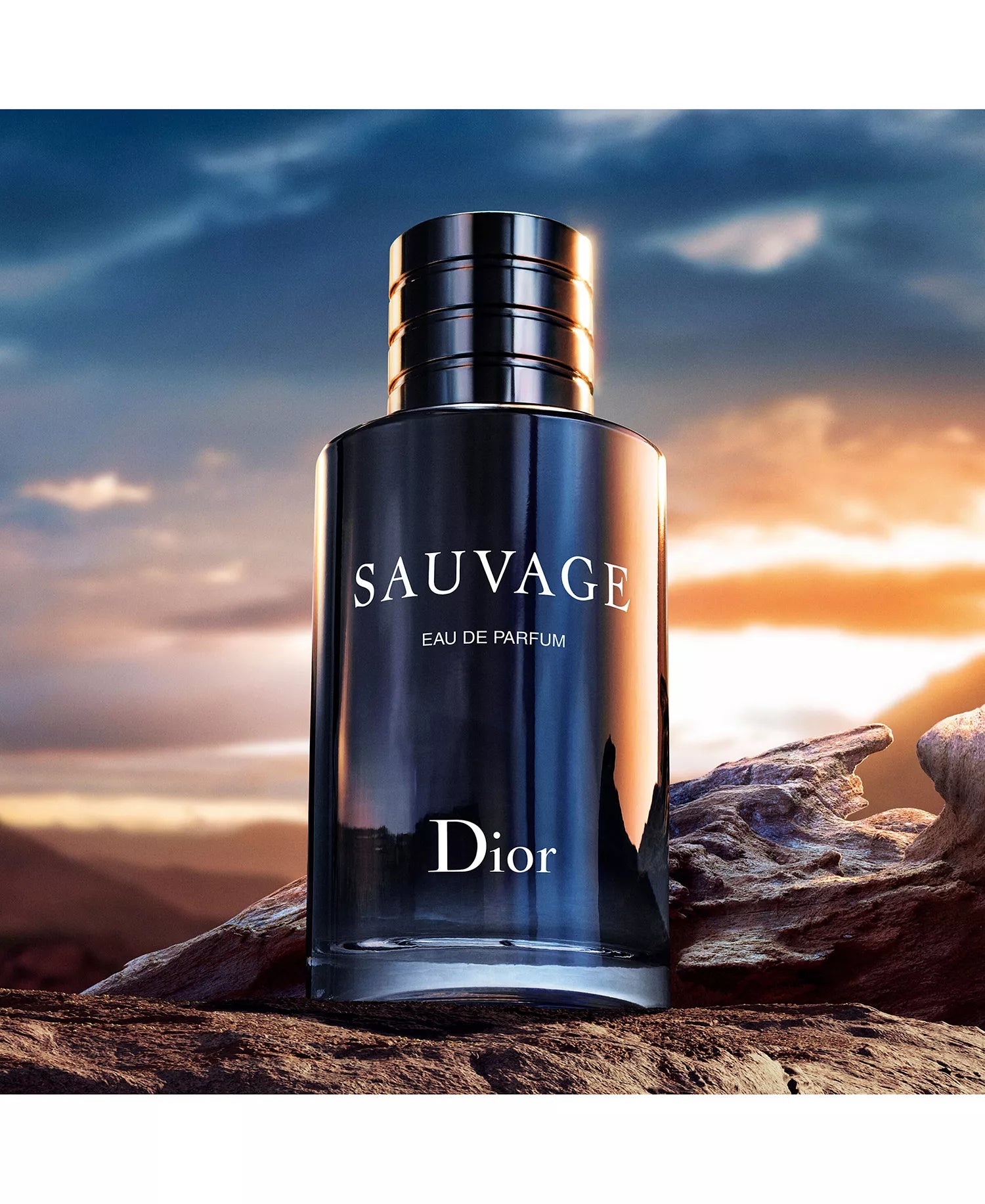 Dior Sauvage Eau de Parfum 100ml