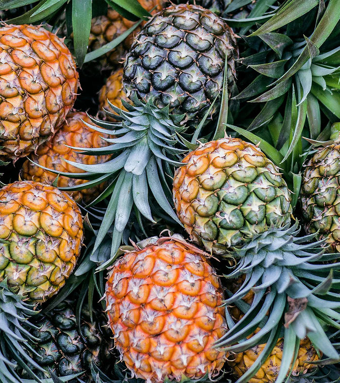 Bond No.9  Beekman Place 100ml